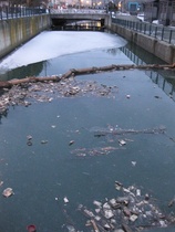 ごみが浮かぶ小樽運河